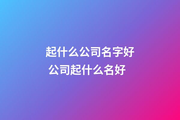 起什么公司名字好 公司起什么名好